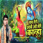 Yaad Teri Aawe O Kanha