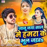 janu naya sal me humra ke bhul jaih