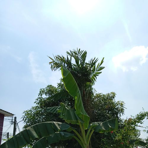 kepikiran tiap hari