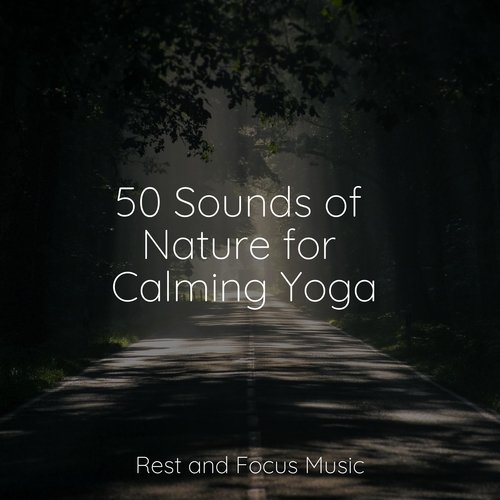 50 Sounds of Nature for Calming Yoga