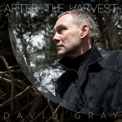 After The Harvest_poster_image