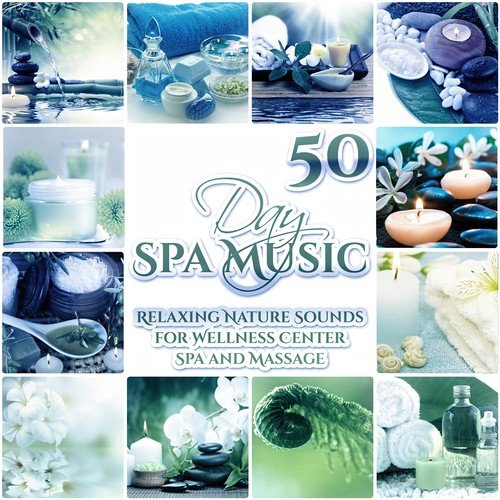 Day Spa Music: 50 Relaxing Nature Sounds for Wellness Center Spa and Massage (New Age, Forest, Singing Birds, Rain, Waterfall, Sea Waves)