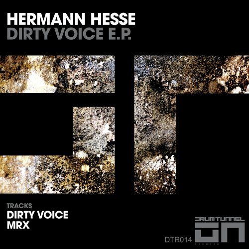 Dirty Voice (Original Mix) cover art