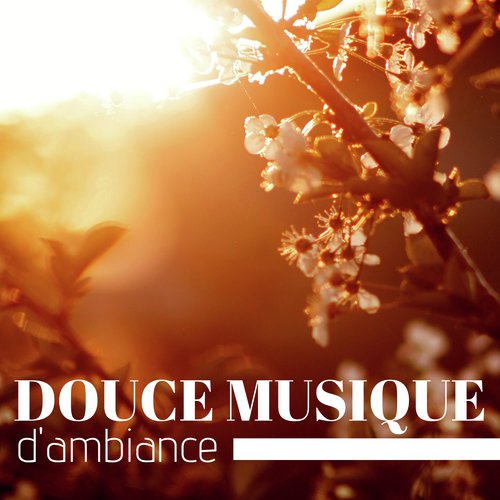 Douce musique d'ambiance - Musique relaxante traditionnelle Chinoise instrumentale sans parole_poster_image