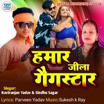 Hamar Zila Gangstar Ha