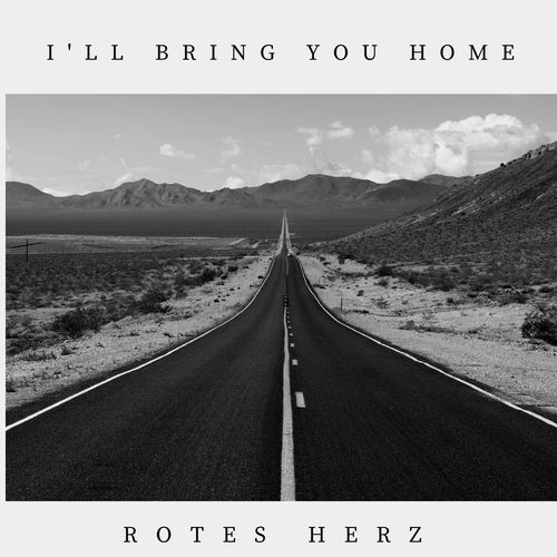 I'll Bring You Home cover art