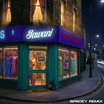 Jawani (Spacey Remix)