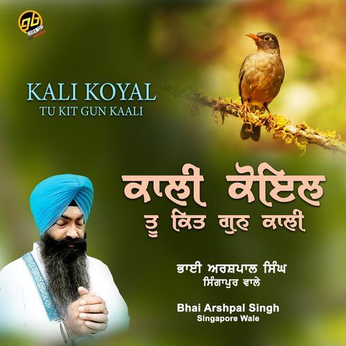 Kali Koyal Tu Kit Gun Kaali