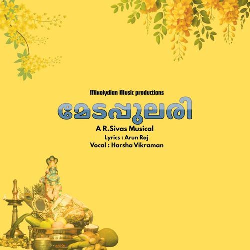 Medapulari