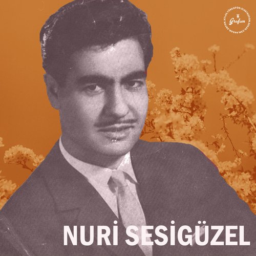 Mehtap Suya Vurmuş cover art