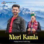 Meri Kamla artwork