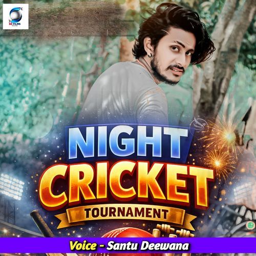 Night Cricket Tournament