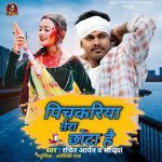 Pichkariya Tera Chhota Hai