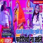 Sause fagun bit gaile pardeshiyo na aaile