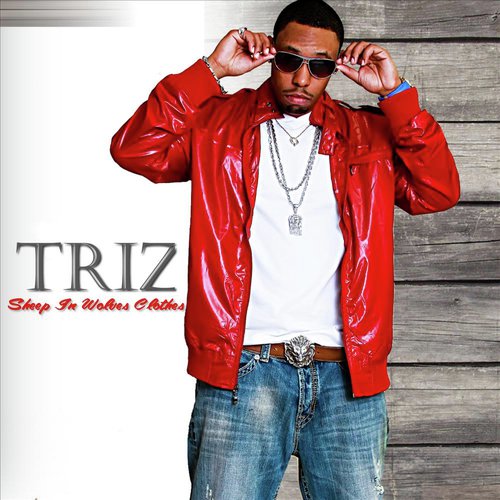 Sheep In Wolves Clothes