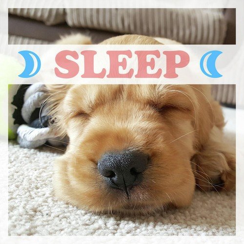 Sleep: Music for Sleeping, Soothing Piano for Babies, Relaxation, Sleep Aid, Lullaby, Bedtime, Meditation