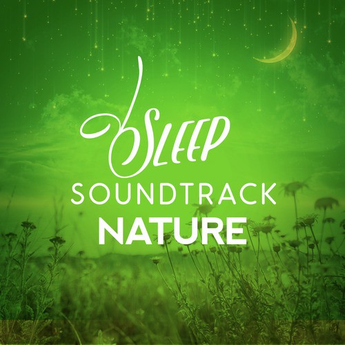 Sleep Soundtrack: Nature