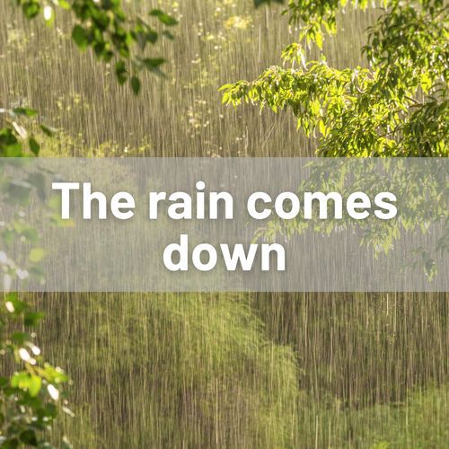 The rain comes down