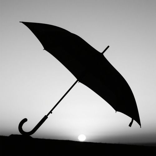 Umbrella in