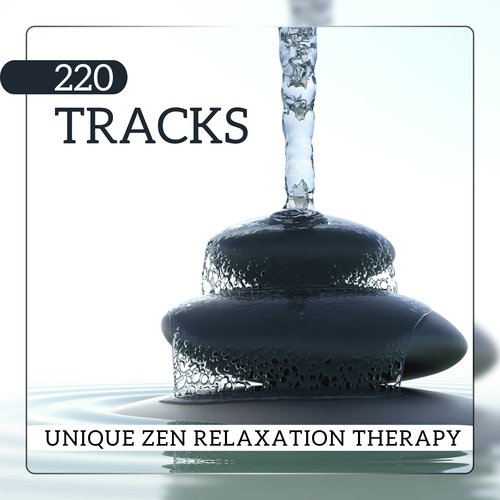 220 Tracks (Unique Zen Relaxation Therapy, Optimal Healing Spirituality Effects, Long Meditation Session)