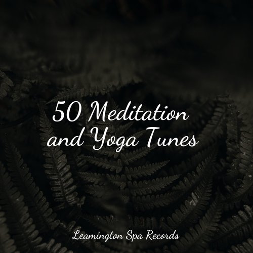 50 Meditation and Yoga Tunes