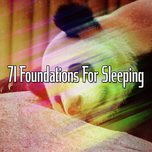 71 Foundations for Sleeping_poster_image