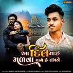 Aa Dil Maru Malava Mage Che Tamane