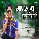 Amjonga Pahartolir Api