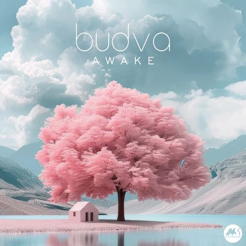 Cortina cover art