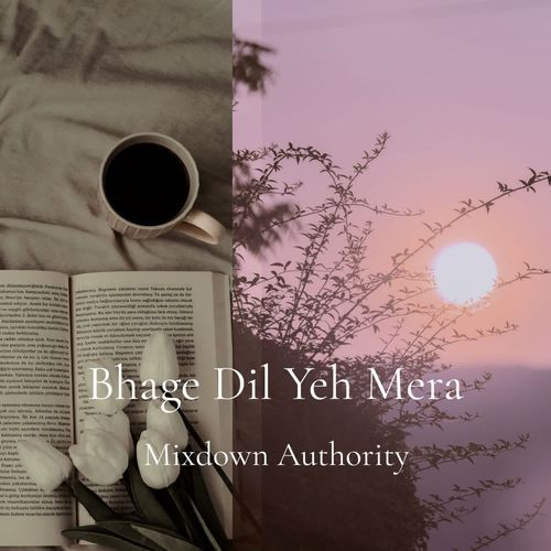 Bhage Dil Yeh Mera