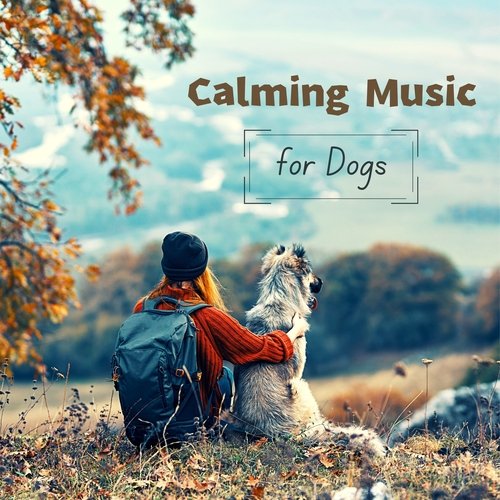 Nature Sounds to Relax Dogs