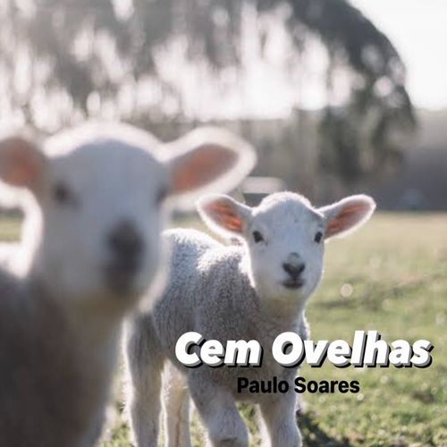 Cem Ovelhas_poster_image