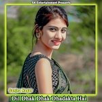 Dil Dhak Dhak Dhadakta Hai