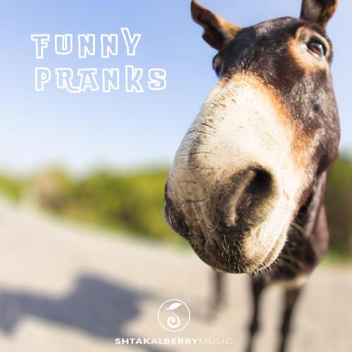 Funny Pranks cover art