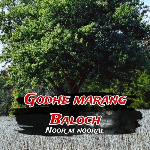 Godhe marang Baloch