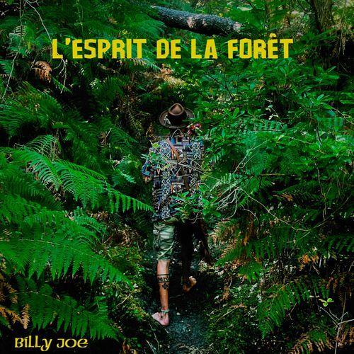 L'Esprit de la Forêt_poster_image