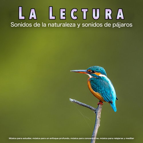 Estudiando música cover art