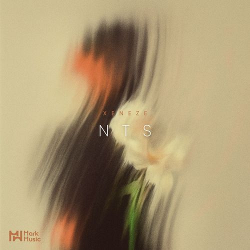 NTS cover art