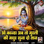 O Kanha Ab To Murli Ki Madhur Suna Do Taan - Lofi