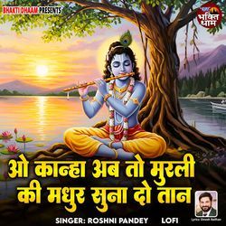 O Kanha Ab To Murli Ki Madhur Suna Do Taan - Lofi