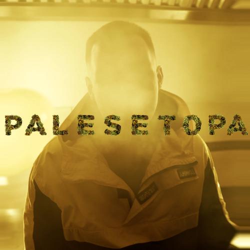 Palesetopa_poster_image