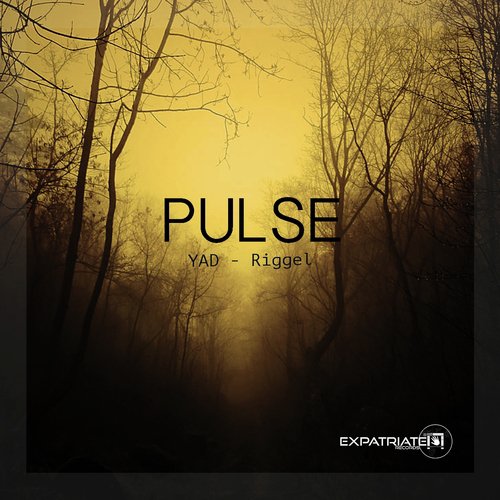 Pulse (Niko Favata Fresh Mix)