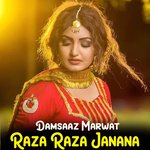 Raza Raza Janana