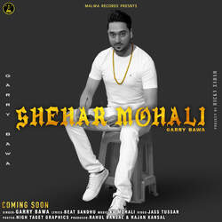 Shehar Mohali-OS4DZRhHZH4