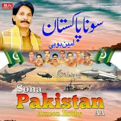 Sona Pakistan AA-AjklBywdVAo