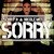 Sorry (Baby Can I Hold You Tonight) (Leo Alarcon Manaba Mix)