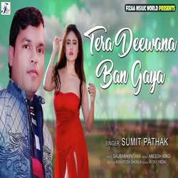 Tera Deewana Ban Gaya-FyEoCT1ndFw