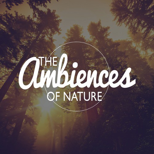 The Ambiences of Nature