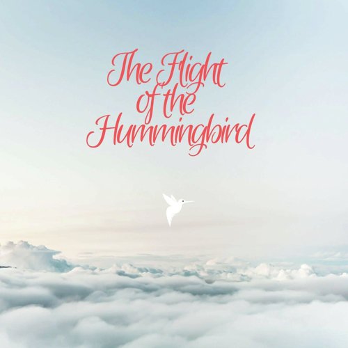 The Flight of the Hummingbird