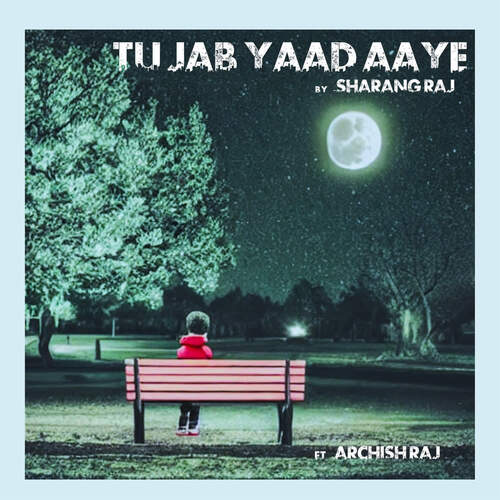 Tu Jab Yaad Aaye